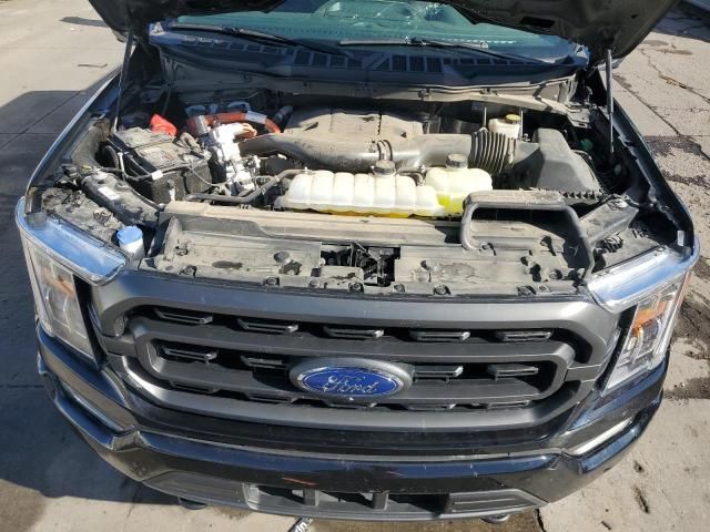 2023 Ford F150 Supercrew