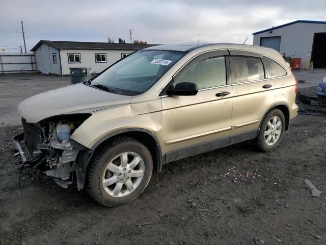 2009 Honda CR-V EX