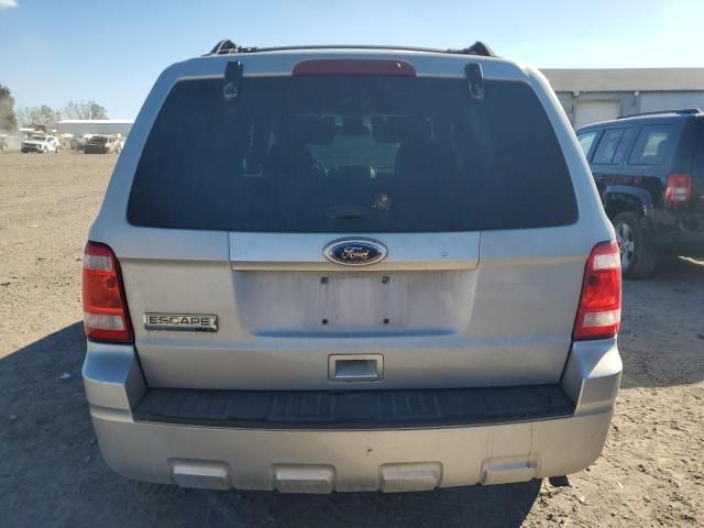 2011 Ford Escape XLT