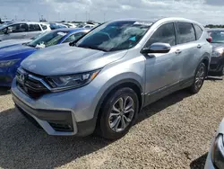 2022 Honda CR-V EXL en venta en Riverview, FL