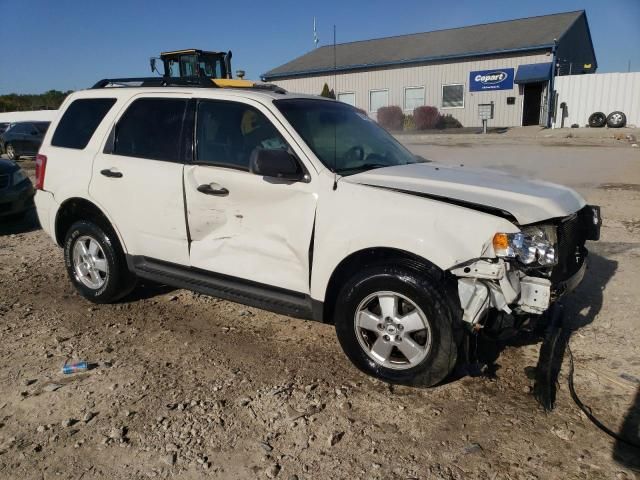 2009 Ford Escape XLT