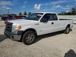 2013 Ford F150 Super Cab en venta en Arcadia, FL