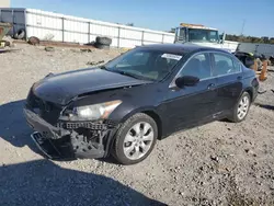 2010 Honda Accord EXL en venta en Earlington, KY