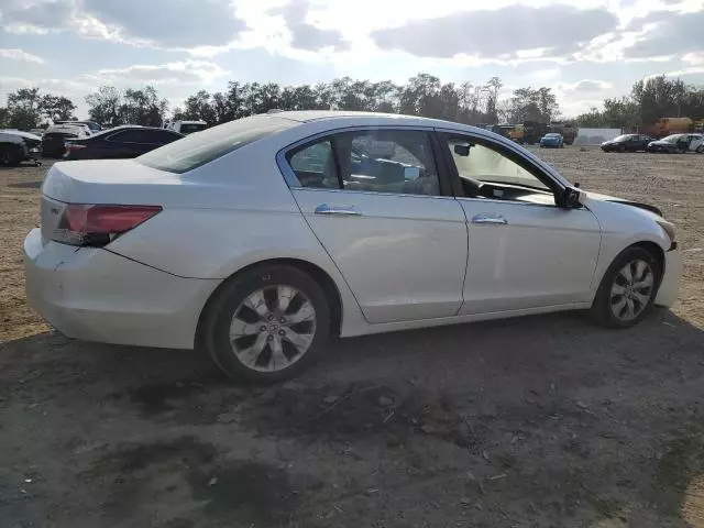 2008 Honda Accord EXL