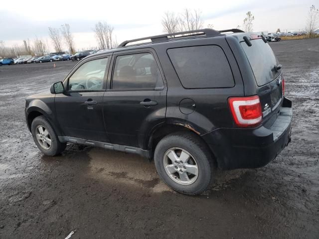 2010 Ford Escape XLT