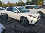 2024 Toyota Rav4 Prime SE