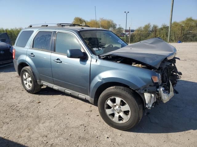 2011 Ford Escape Limited