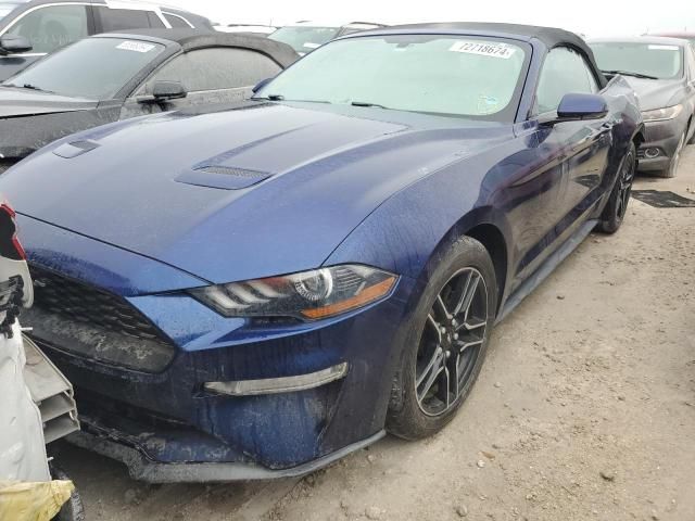 2019 Ford Mustang