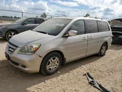 Salvage cars for sale at Houston, TX auction: 2005 Honda Odyssey EXL