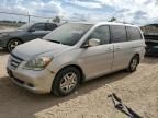 2005 Honda Odyssey EXL