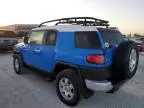 2007 Toyota FJ Cruiser