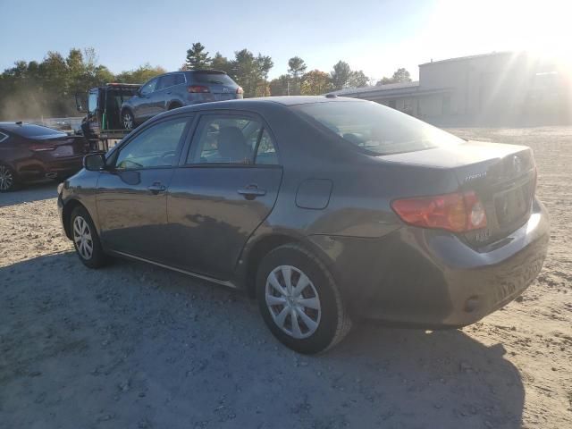 2010 Toyota Corolla Base