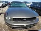 2005 Ford Mustang