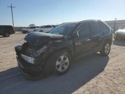 Salvage cars for sale from Copart Andrews, TX: 2019 Toyota Rav4 XLE