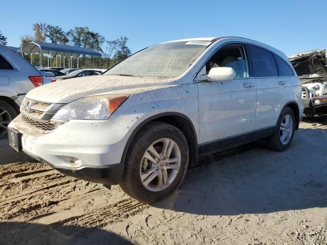 2010 Honda CR-V EXL