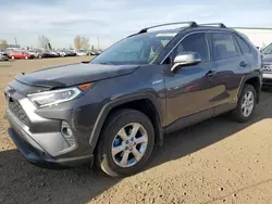 2020 Toyota Rav4 XLE en venta en Rocky View County, AB