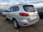 2007 Hyundai Santa FE SE