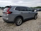 2025 Honda CR-V EXL