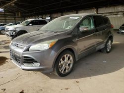 Salvage cars for sale from Copart Phoenix, AZ: 2013 Ford Escape SEL