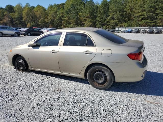 2010 Toyota Corolla Base