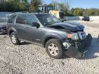 2008 Ford Escape HEV