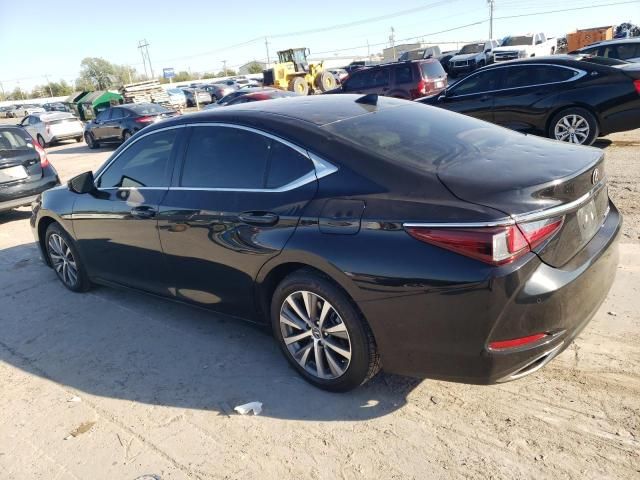 2019 Lexus ES 350