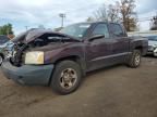 2005 Dodge Dakota Quattro