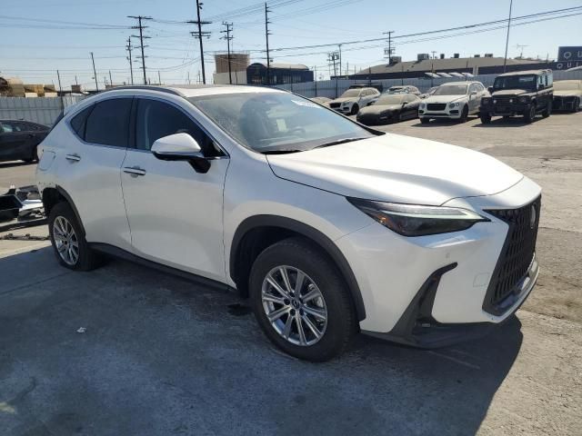 2024 Lexus NX 450H Luxury