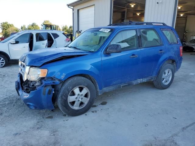 2011 Ford Escape XLS