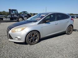 Ford Focus se salvage cars for sale: 2013 Ford Focus SE