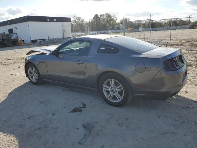 2014 Ford Mustang