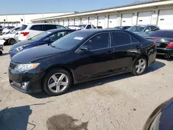 2013 Toyota Camry L en venta en Louisville, KY