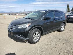 Salvage cars for sale at American Canyon, CA auction: 2013 Honda CR-V EXL