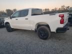 2024 Chevrolet Silverado K1500 Trail Boss Custom