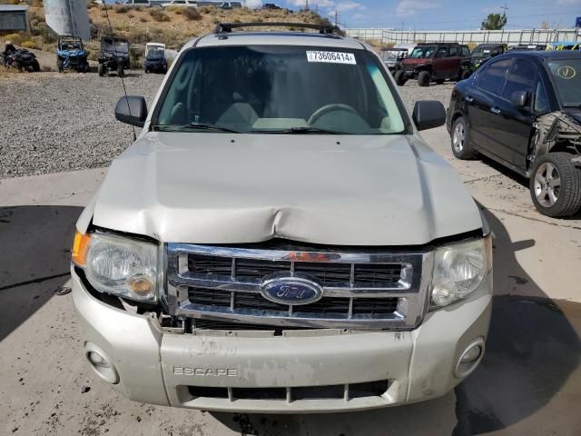 2009 Ford Escape XLT