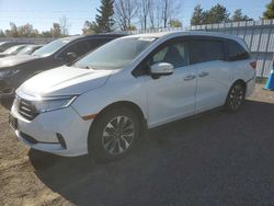 Salvage cars for sale at Bowmanville, ON auction: 2022 Honda Odyssey EXL