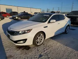 2012 KIA Optima EX en venta en Haslet, TX