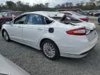 2013 Ford Fusion SE Hybrid