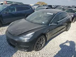 Salvage cars for sale at Taylor, TX auction: 2019 Tesla Model 3