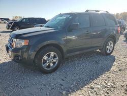 Salvage cars for sale at Wayland, MI auction: 2009 Ford Escape XLT