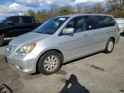 Honda Vehiculos salvage en venta: 2009 Honda Odyssey EXL