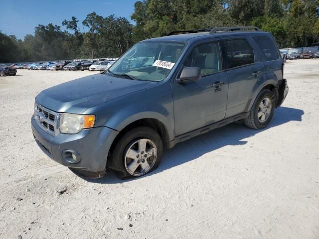 2010 Ford Escape XLT