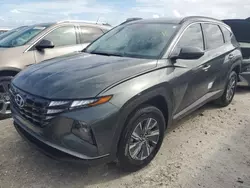 Salvage cars for sale at Arcadia, FL auction: 2022 Hyundai Tucson Blue