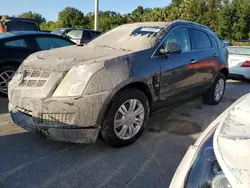 Cadillac srx Vehiculos salvage en venta: 2010 Cadillac SRX Luxury Collection