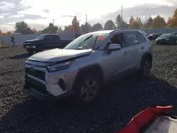 Vehiculos salvage en venta de Copart Portland, OR: 2023 Toyota Rav4 XLE