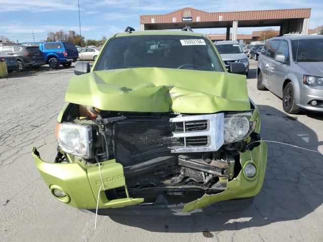 2012 Ford Escape XLT