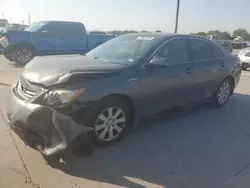 Toyota Camry Hybrid salvage cars for sale: 2009 Toyota Camry Hybrid