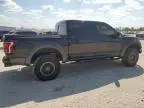 2019 Ford F150 Raptor