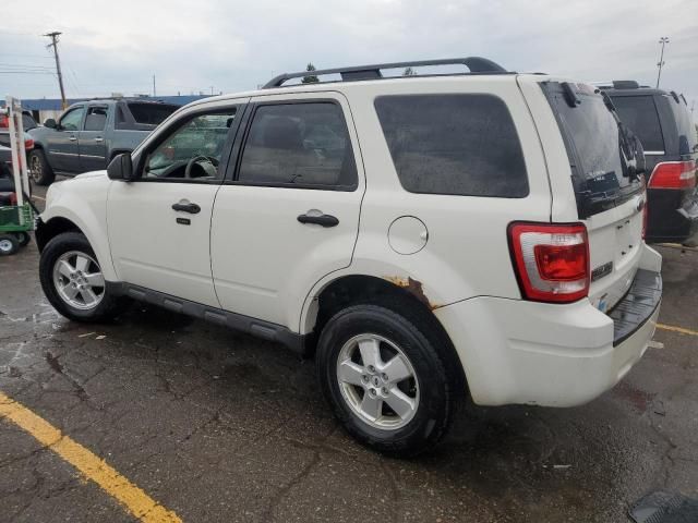 2010 Ford Escape XLT