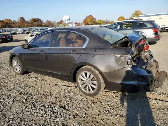 2011 Honda Accord EX